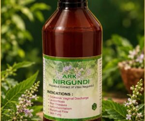 Ark Nirgundi