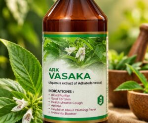 Ark Vasaka