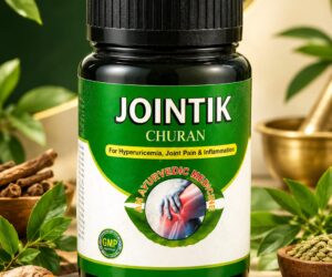 Jointik Churan