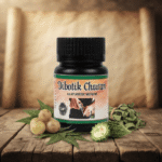 Dibotik Churan